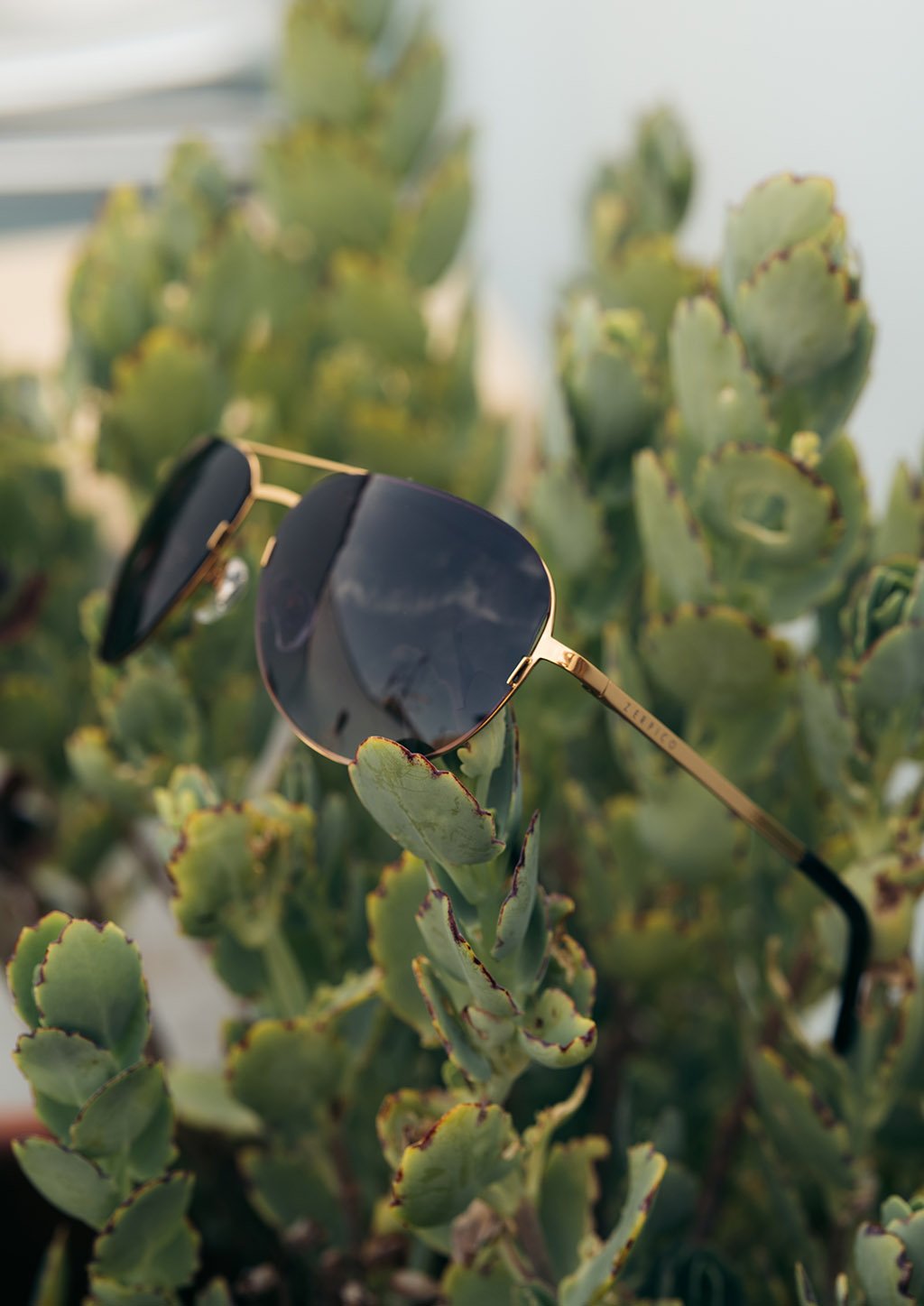 Titanium Aviators - V2 - Changeable Lenses Sunglasses