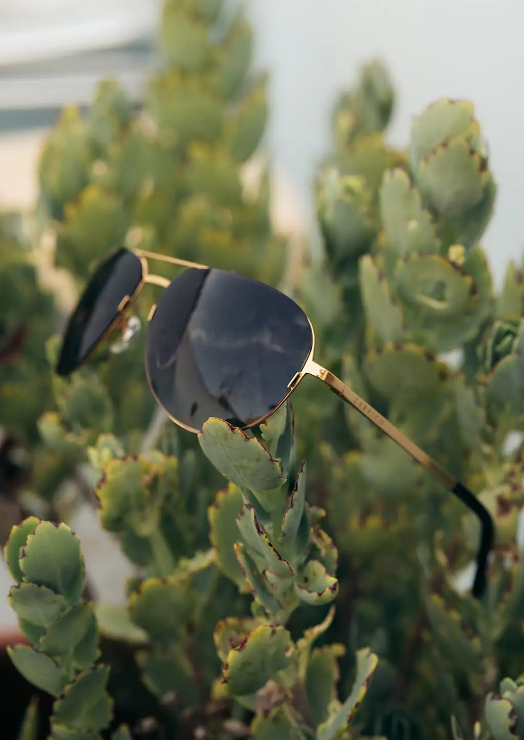 Titanium Aviators - V2 - Changeable Lenses Sunglasses