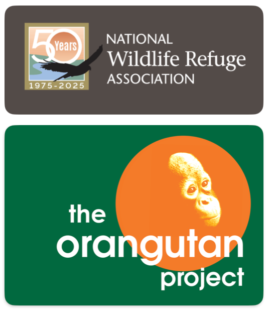 Every Cent A Sanctuary